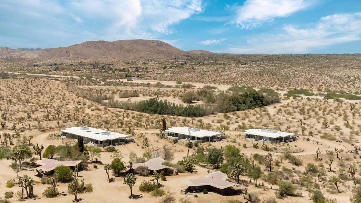 The By Homestead Modern Joshua Tree