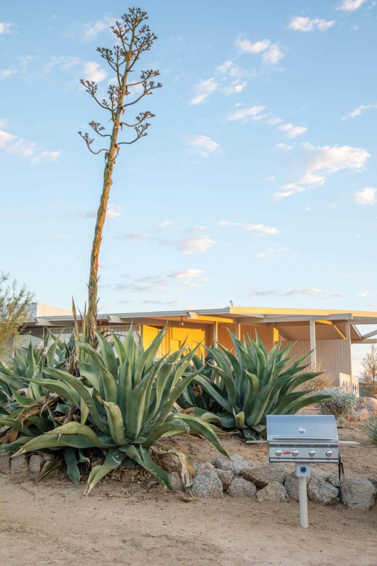 The By Homestead Modern Casa vacanze Joshua Tree